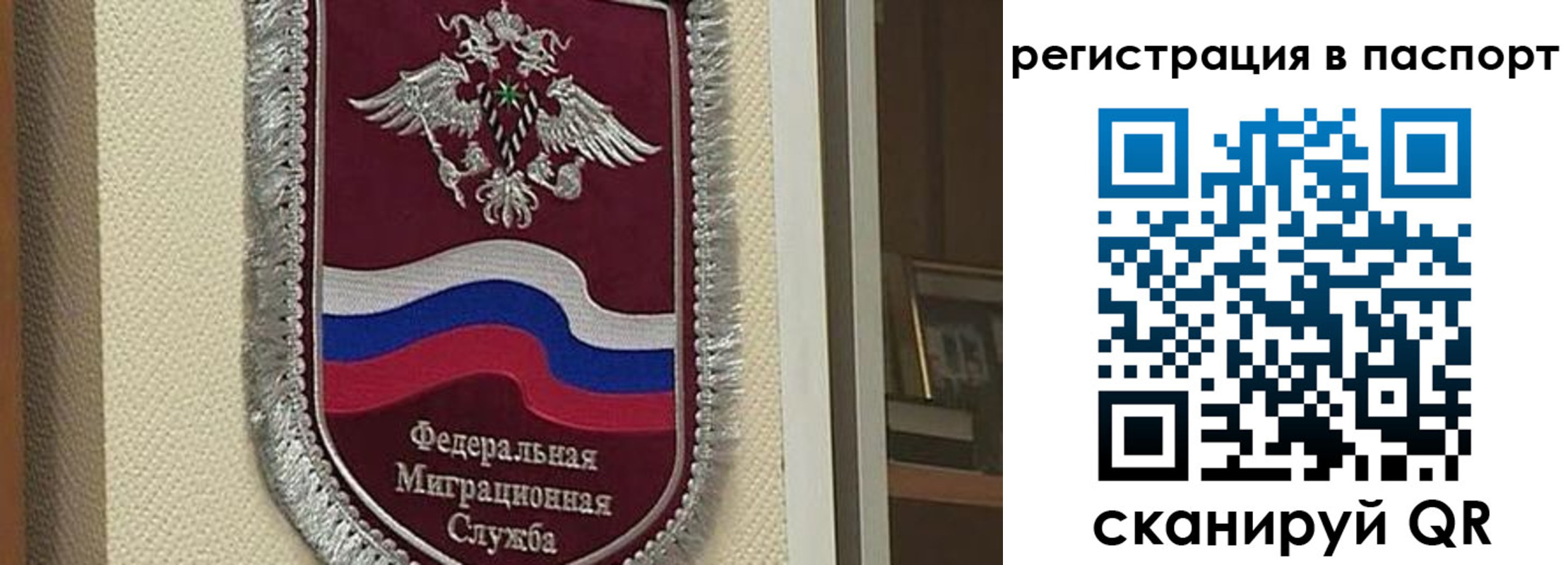 прописка законно в Борзе